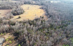 00 Wildcat Hollow, Greenbrier, AR 72058