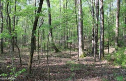 Ruffner Road, Barnesville, GA 30204