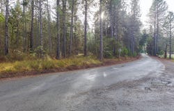 Old Stage Rd, Wolf Creek, OR 97497