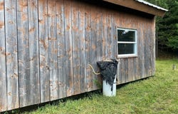 Horse Run Road, Bolivar, NY 14754