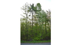 14236 Straitsview Drive, Cheboygan, MI 49721