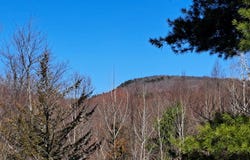 State Route 149, Granville, NY 12832
