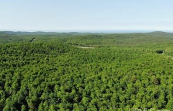 TBD359 AAA Road, Big Bay, MI 49808