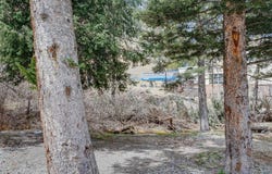 13 Thunderbird Rd, Taos Ski Valley, NM 87525