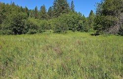 5XXX OLINGER RD, SPRINGDALE, WA 99173