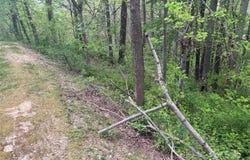 106 Tatham Road, Hendersonville, NC 28792