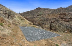 1425 Horse Mountain Dr, Livermore, CO 80536
