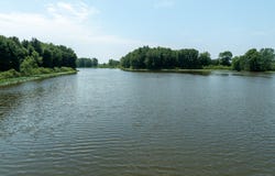 V/L N Stephens Road, Custer, MI 49405
