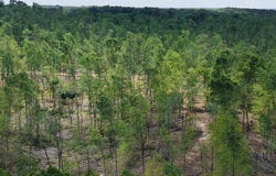 000 Hwy 104, Sardis, TN 38370