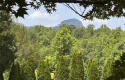 124 Great Pilot Lane, Pinnacle, NC 27043
