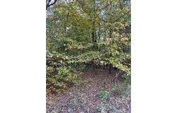 Tract 4 Hwy 9w, OXFORD, MS 38655