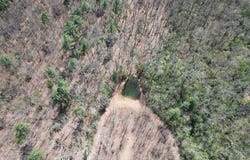 457 YoungBlood dr, BLAIRSVILLE, GA 30512