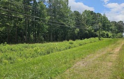 7737 HIGHWAY 75 lot: 1, PINSON, AL 35126