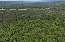 426, Dardanelle, AR 72834