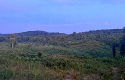 169 County Road 188, Decatur, TN 37322