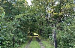 5300 Lammers Road, Hastings, MI 49058