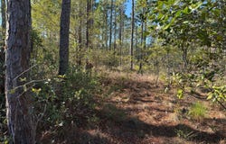 100 Bridges Road, Southport, NC 28461