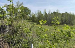 NEEDHAM Rd lot: 4, Unincorporated, TN 38023