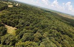 Cr 331 Hwy 62, Pollard, AR 72454