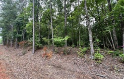 3160 Holley Mill Rd, Eclectic, AL 36024