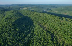 01 Chimney Field Rd, Winslow, AR 72959