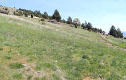 Washington ST, Prairie City, OR 97869