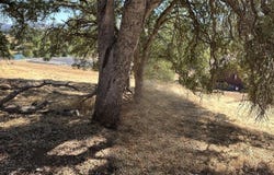 17270 Knollview Dr, Hidden Valley Lake, CA 95467