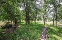 Tbd FM 147, Marlin, TX 76661