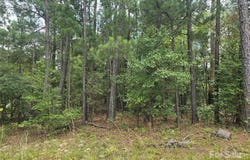 Johnny Williams Road unit: 5, Kershaw, SC 29067