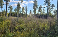 Christanna Hwy lot: 3, Lawrenceville, VA 23868