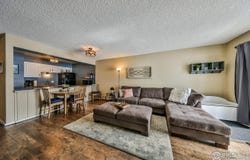 832 GCR 382, Fraser, CO 80442