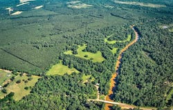 2611 CR 789, Douglass, TX 75943