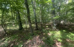 Lot#179 Mockingbird Circle, Farwell, MI 48622