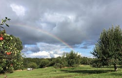 8665 Worden Road, Beulah, MI 49617