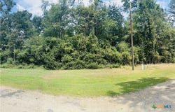 MISTLETOE Street, Onalaska, TX 77360
