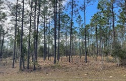 133RD AVE SE, DUNNELLON, FL 34431