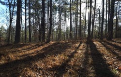 10b SAVANNAH BAY DR., Lincolnton, GA 30817