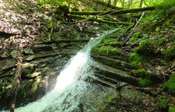 0WP Town Line Rd, McGraw, NY 13101
