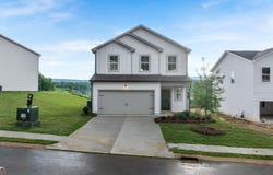 81 Saddlebred, Rossville, GA 30741