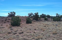 Tbd Windsor Valley Ranch, Concho, AZ 85924