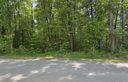 Lt 6 Parrish Drive, Greeneville, TN 37743