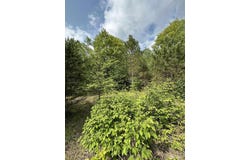 5563 Calderwood, Trout Creek, MI 49967