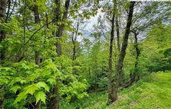 Alpine Drive, Seven Devils, NC 28604