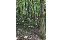 000 Cedar Lane, Canton, KY 42211