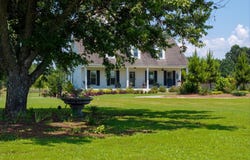 6300 Co Rd 15, Florence, AL 35630