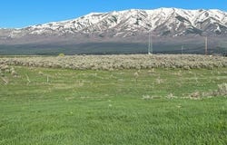 Lot A Jensen Rd, McCammon, ID 83250