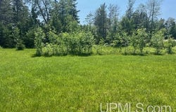 TBD State Highway M35, Cedar River, MI 49887