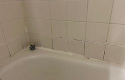 13903 SW 91st Ter, Miami, FL 33186