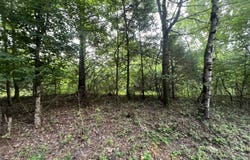 0 Co Rd 521, Anderson, AL 35610