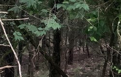 605-00020-000 MC 8020, Yellville, AR 72687